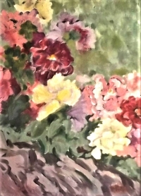Petunias